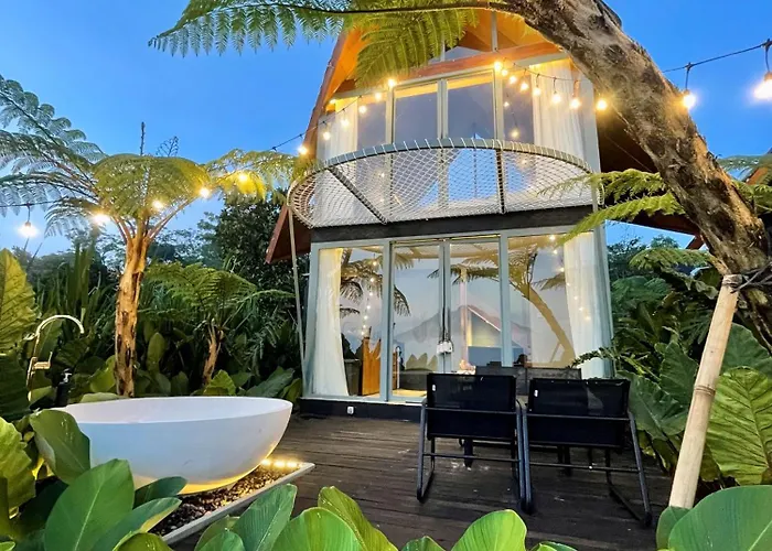 Hotel Black Wood 3*