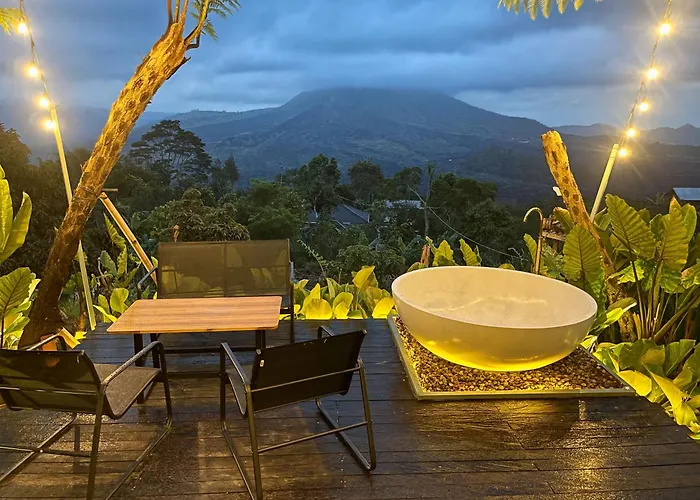 Hotel Black Wood 3*