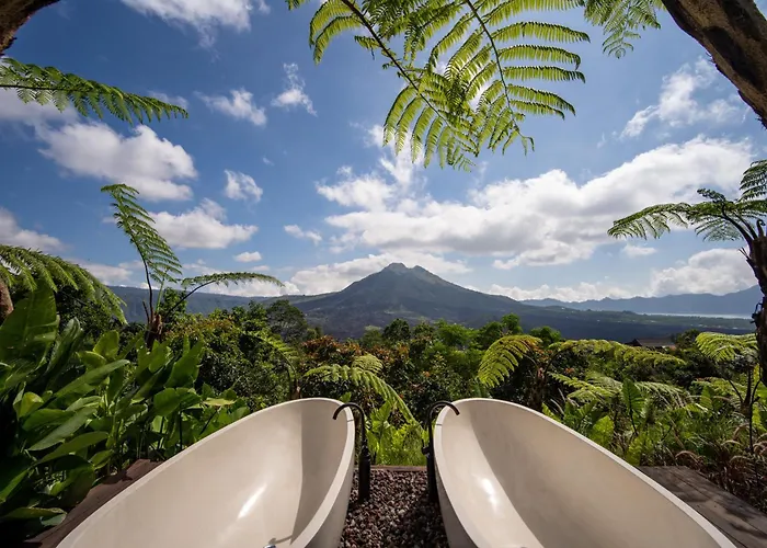 Hotel Black Wood 3*
