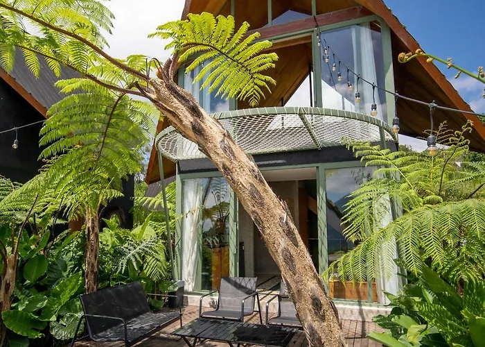 Hotel Black Wood 3*