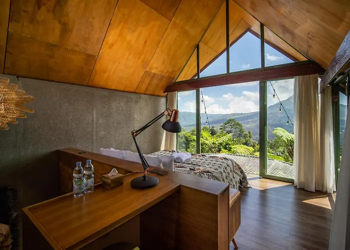 Black Wood Hotel 3*
