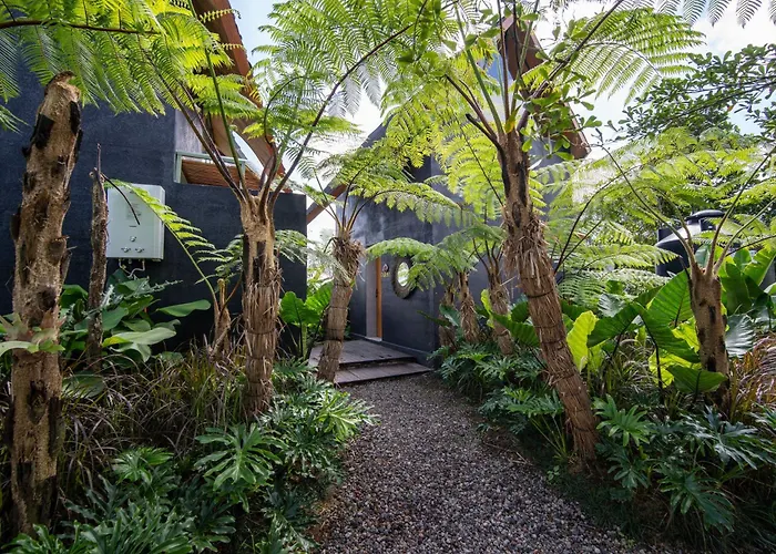 Black Wood Kintamani