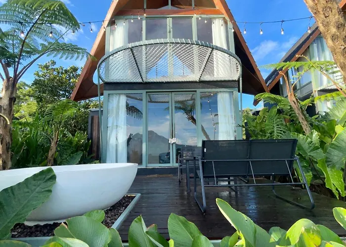 Black Wood Hotel 3*