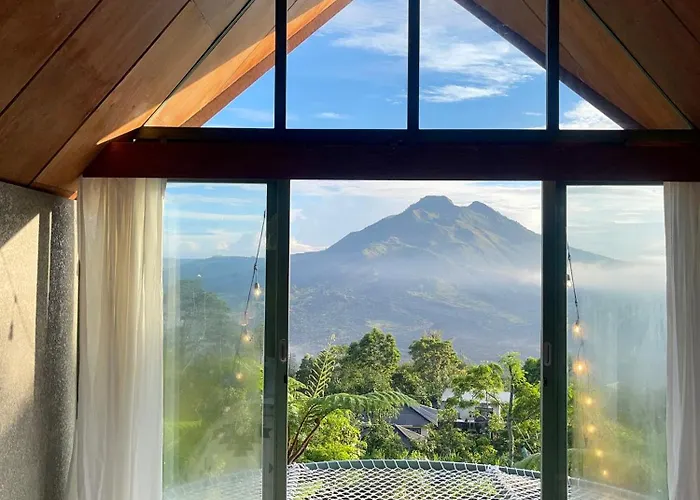 Black Wood Hotel 3*
