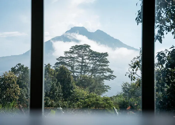 Hotel Black Wood Kintamani